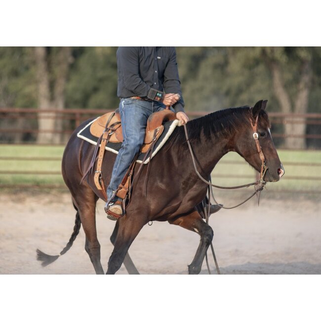 Classic Equine Performance trainer pad