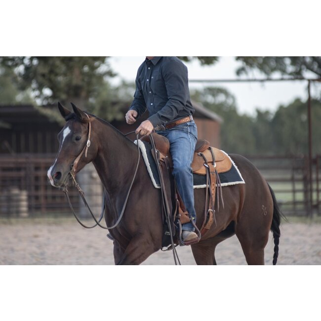 Classic Equine Performance trainer pad