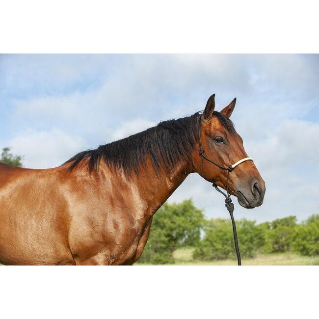 Classic Equine Touwhalster met rawhide neusstuk