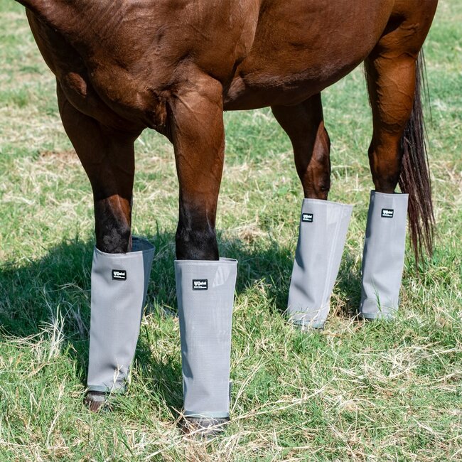 Crusader LG4 Crusader leg Guards