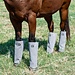 Crusader LG4 Crusader leg Guards