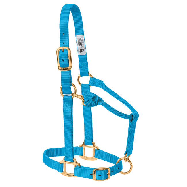 Weaver Leather Halster Average