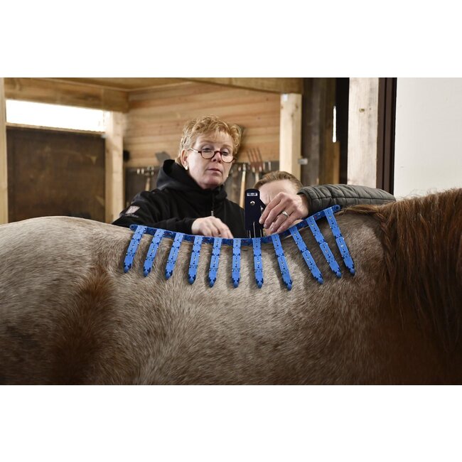 Saddle fitting consultation EQUIscan Topograph Pro