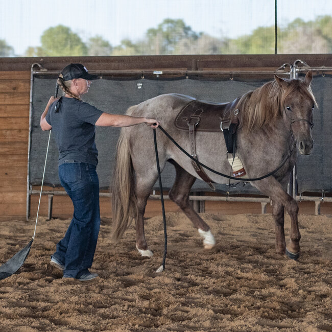 Martin Saddlery Training Pad