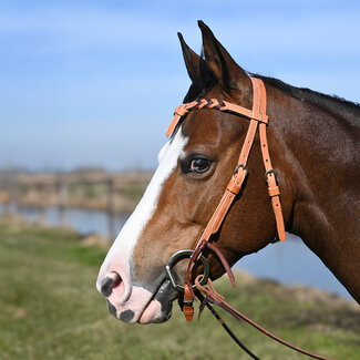 Martin Saddlery Futurity Browband Blood Knot Latigo