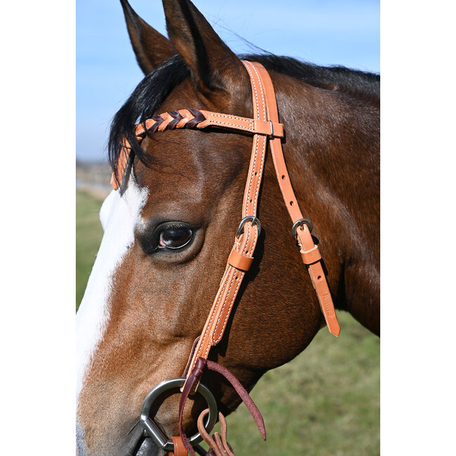 Martin Saddlery Futurity Browband Blood Knot Latigo