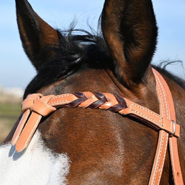 Martin Saddlery Futurity Browband Blood Knot Latigo