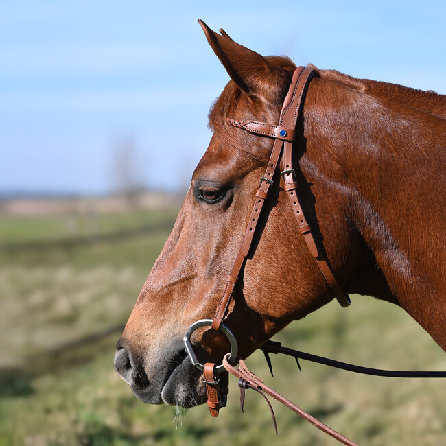 Stübben Browband Headstall AKA