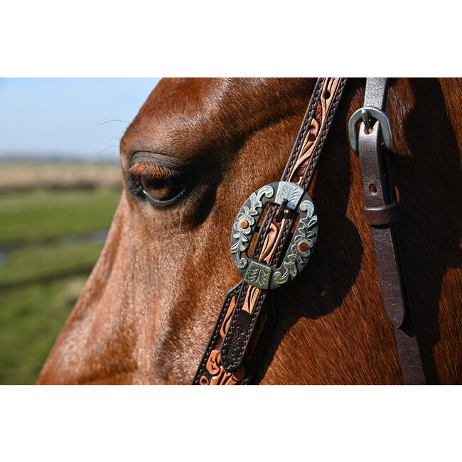 Cashel Two-Tone Browband Hoofdstel