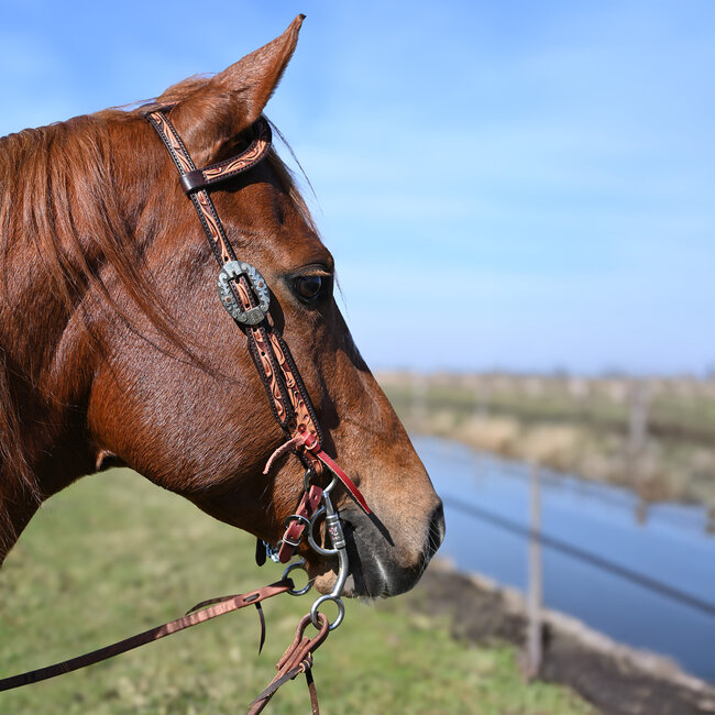 Cashel Two-Tone Slip Ear Headstall