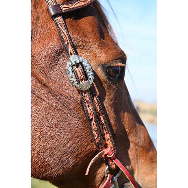 Cashel Two-Tone Slip Ear Headstall