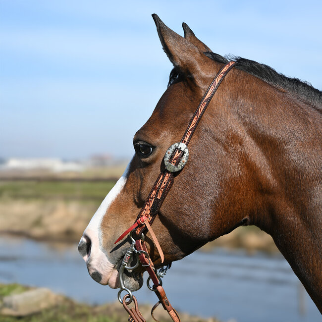 Cashel Two-Tone Slip Ear Headstall