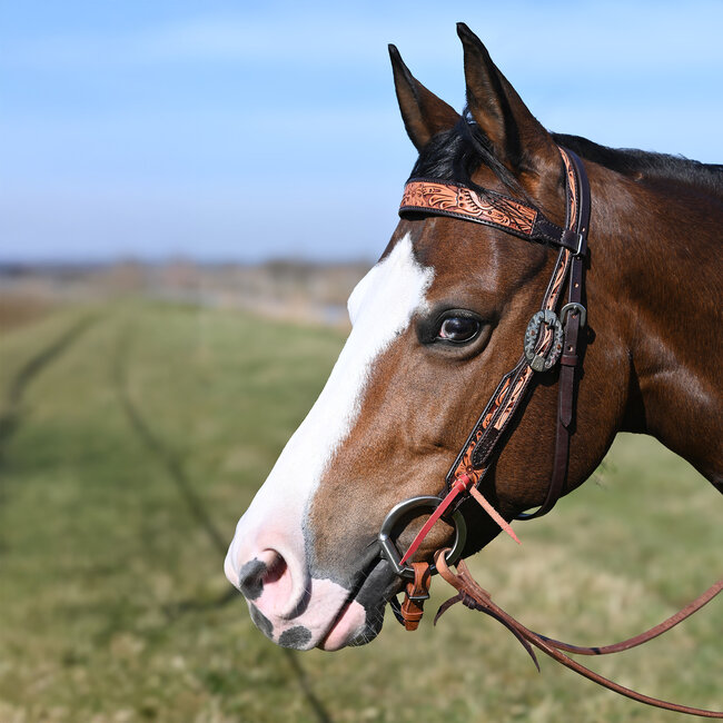 Cashel Two-Tone Browband Headstall