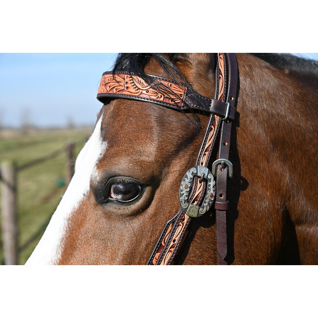 Cashel Two-Tone Browband Hoofdstel