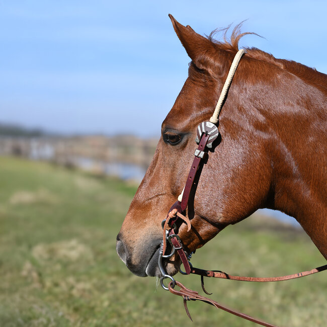 Cashel Rawhide Braided Slip Ear Headstall
