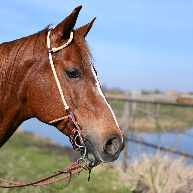 Cashel Rawhide Braided Slip Ear Headstall