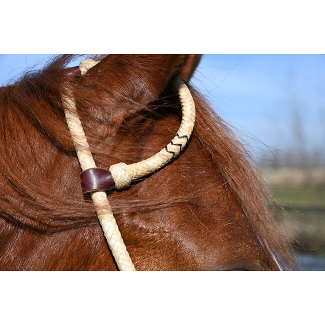Cashel Rawhide Braided Slip Ear Headstall
