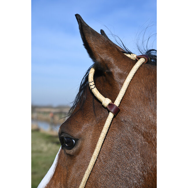 Cashel Rawhide Braided Slip Ear Headstall