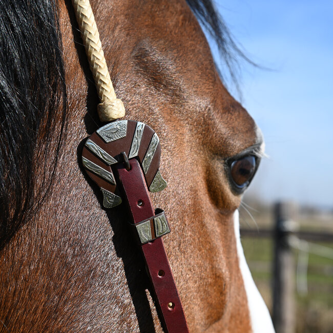 Cashel Rawhide Braided Slip Ear Headstall