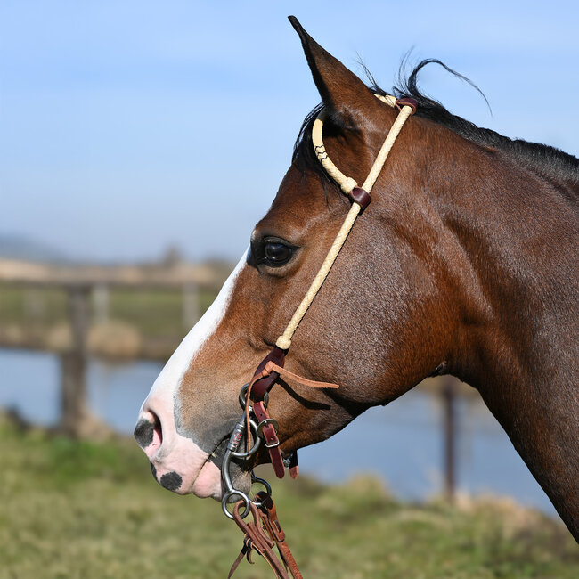 Cashel Rawhide Braided Slip Ear Headstall