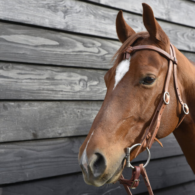 Cowperson Tack Cowboy bridle X browband