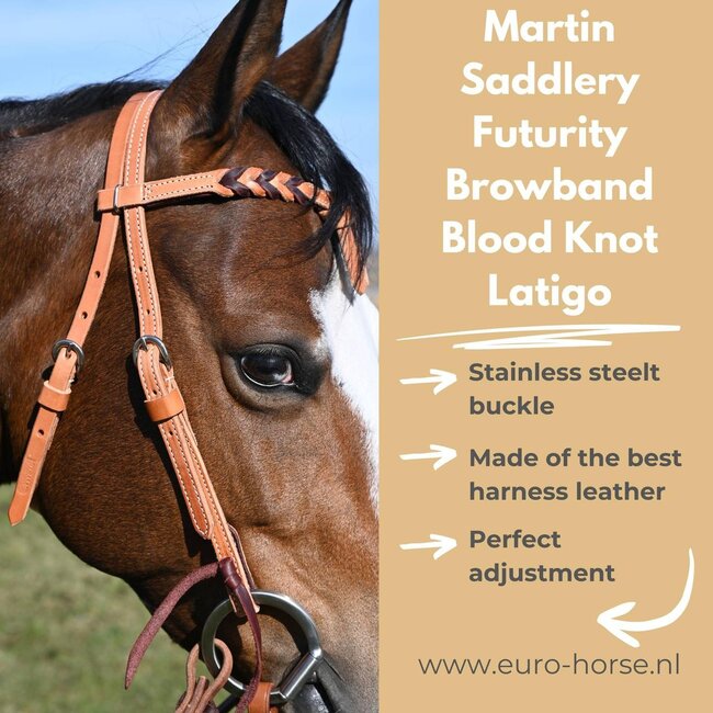 Martin Saddlery Futurity Browband Blood Knot Latigo