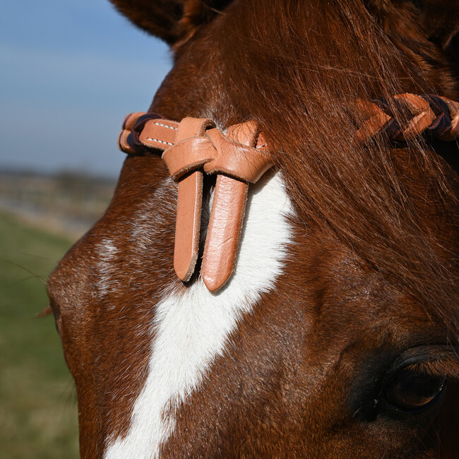 Martin Saddlery Futurity Browband Blood Knot Latigo