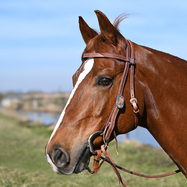 Synergy Latigo Lined Hoofdstel 5/8’’ Browband