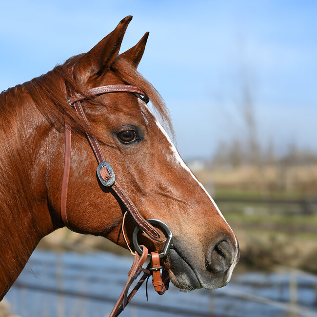 Synergy Latigo Lined Hoofdstel 5/8’’ Browband