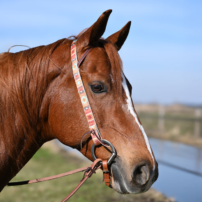 Weaver Leather Poly Patterned Headstall *