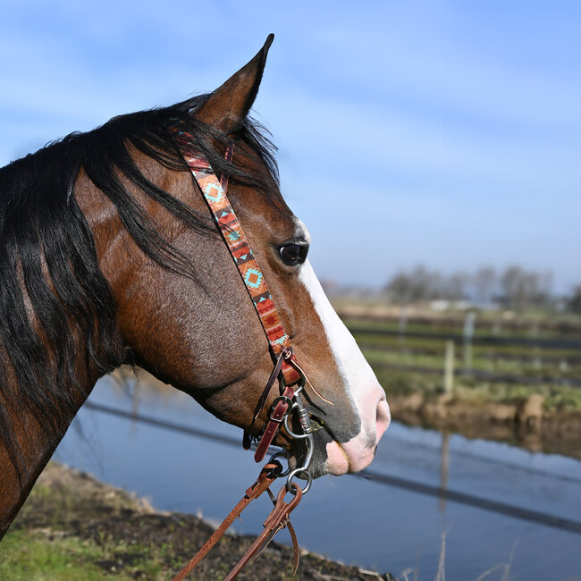Weaver Leather Poly Patterned Headstall *