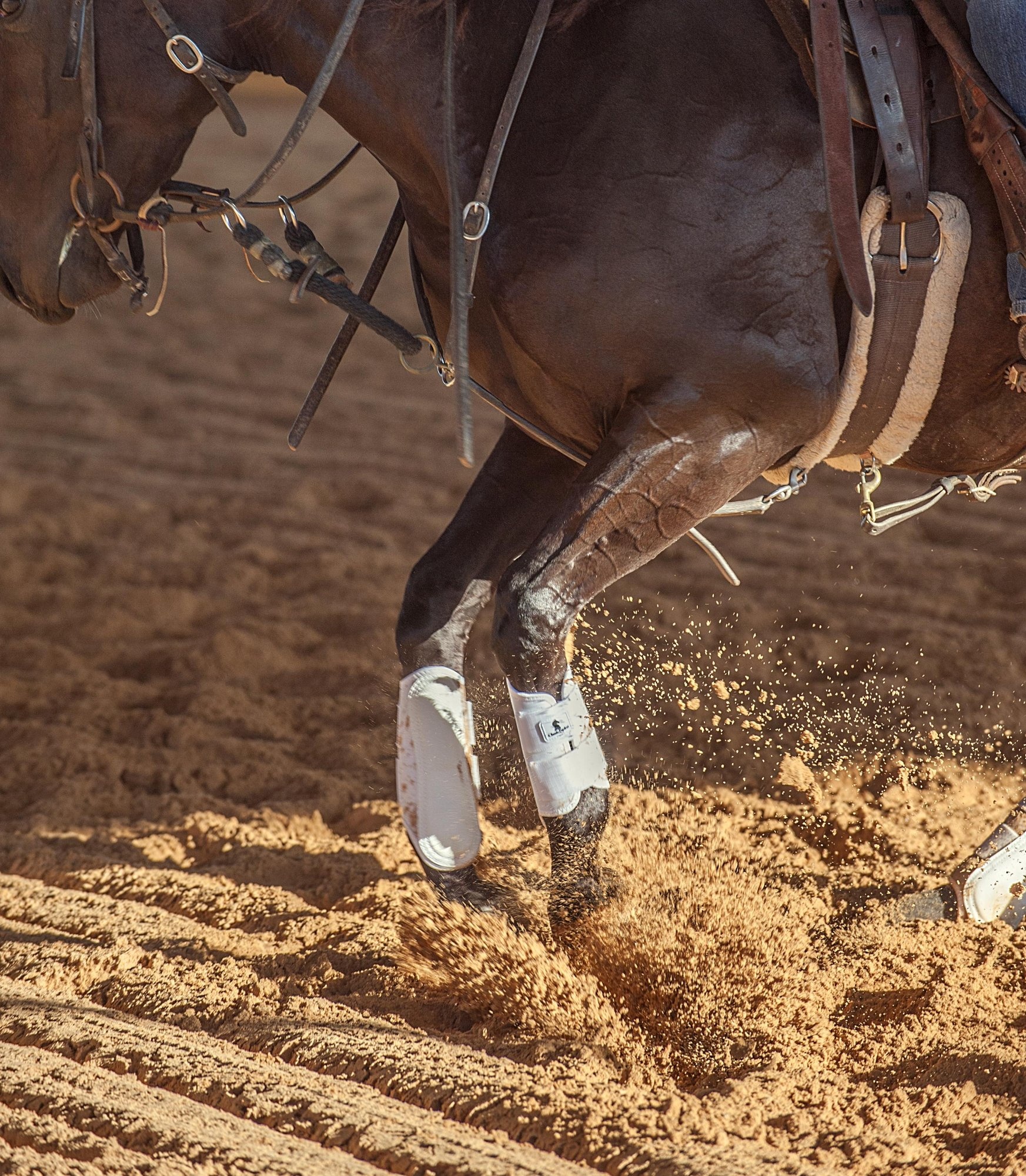 Wat moet ik weten over BEENBESCHERMERS?