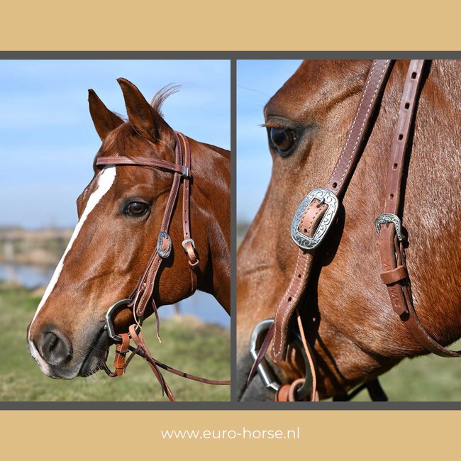 Synergy Latigo Lined Hoofdstel 5/8’’ Browband