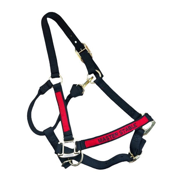 Weaver Leather Halter, Embroidery and Overlay