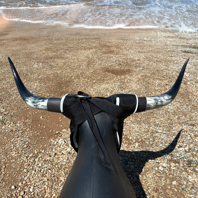 7K Something Dummy Real SuperHorns