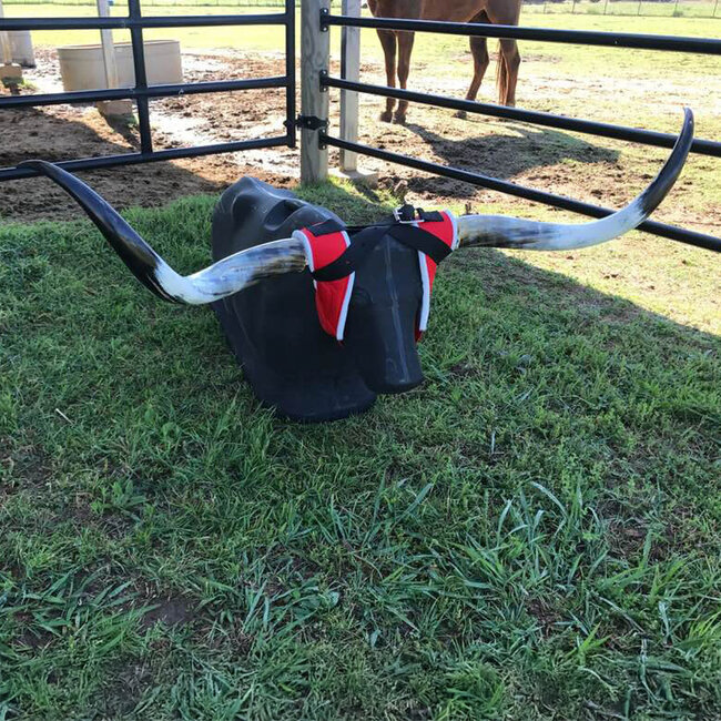 7K Something Dummy Real SuperHorns