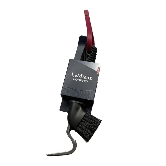 Heavy Duty Hoof Pick