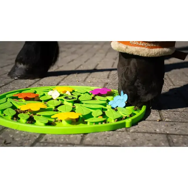 Excellent Horse Snuffle Mat Horse