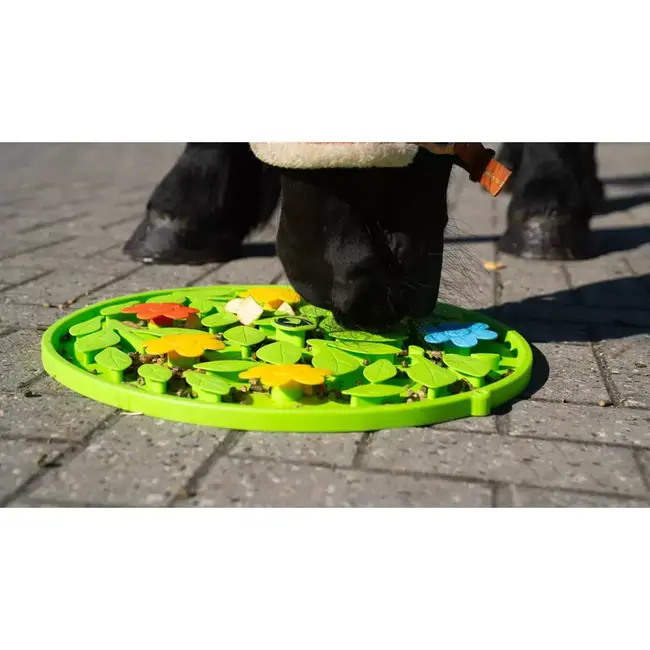 Excellent Horse Snuffle Mat Horse