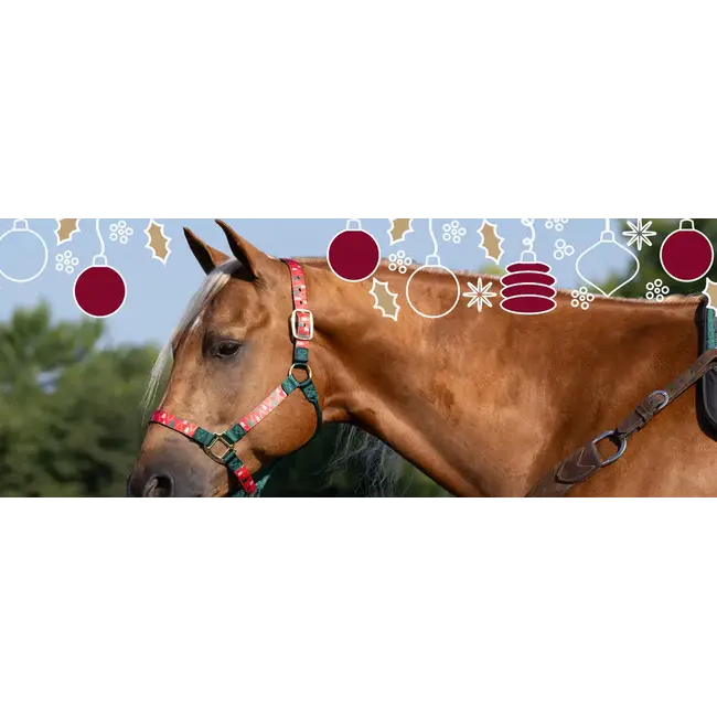 Weaver Leather Reindeer Halster