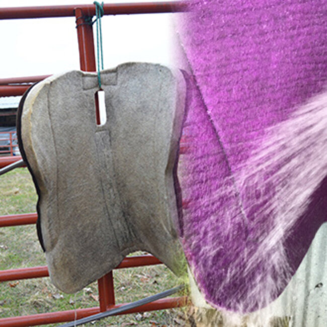 Saddle pad cleaner&soak