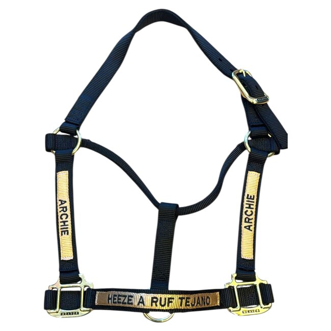 Weaver Leather Halter, Embroidery and Overlay