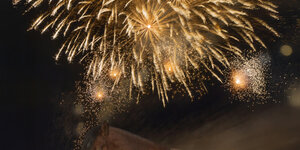 Firework Anxiety in Horses: What You Need to Know and What You Can Do