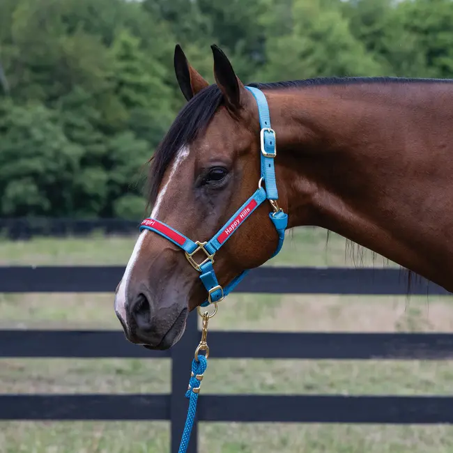 Weaver Leather Halter, Embroidery and Overlay