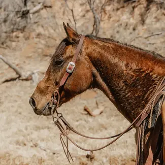 STS Ranch STS Ranch Topper Split Ear