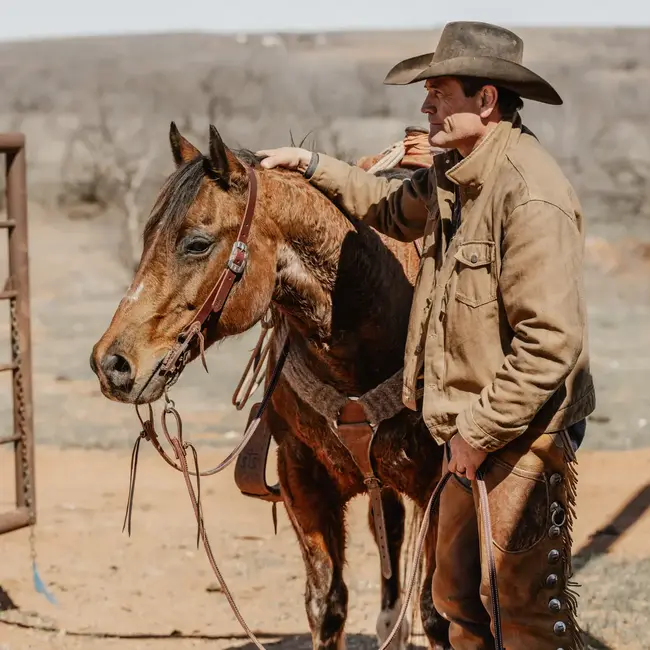 STS Ranch STS Ranch Topper Split Ear