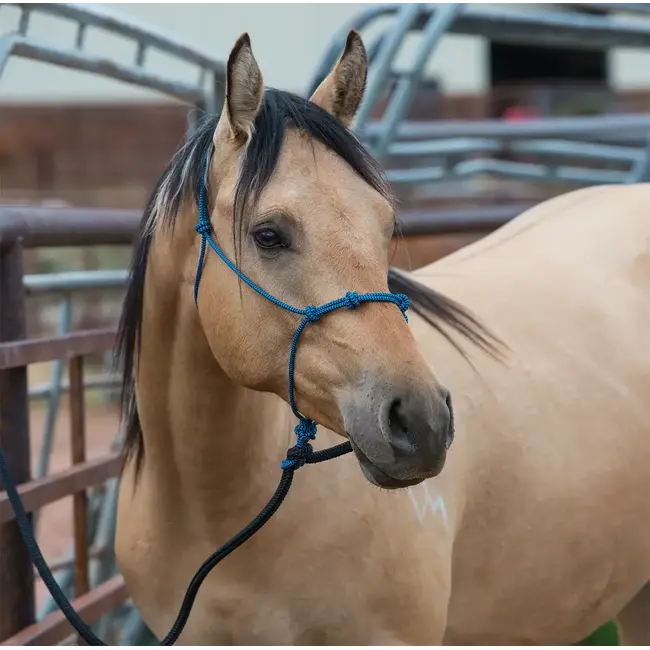 Silvertip Silvertip Four Knot Rope Halter