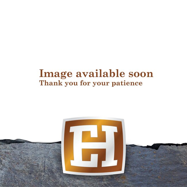 Classic Equine Flexion  Front