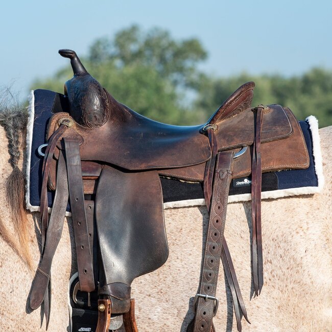 Classic Equine Performance trainer felt top