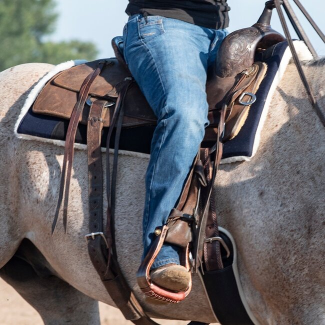 Classic Equine Performance trainer felt top